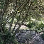 Maison Au Bord D'un Ruisseau *