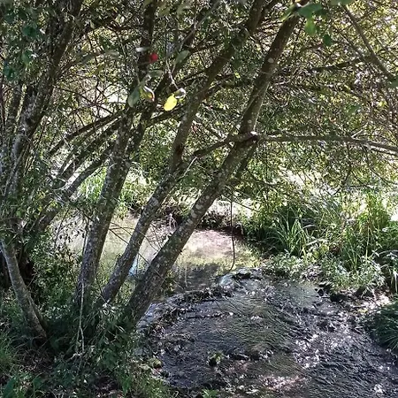 Maison Au Bord D'un Ruisseau *